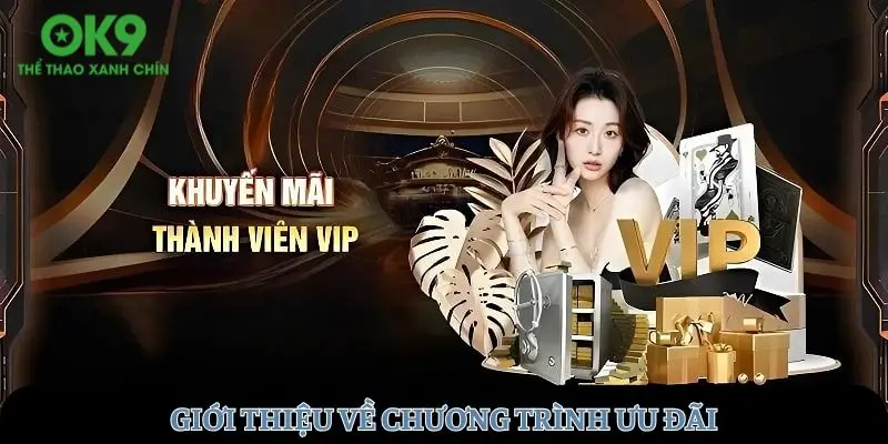 Giới thiệu chương trình ưu đãi