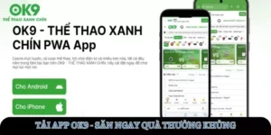 tai-app-ok9-avt