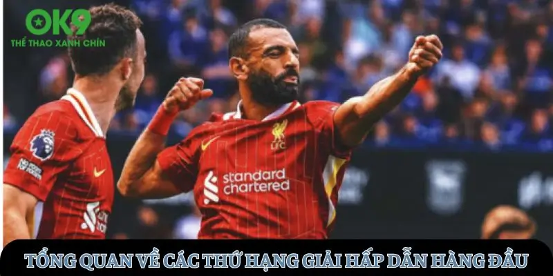 Tổng quan về các thứ hạng giải hấp dẫn hàng đầu